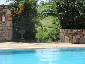 our beautiful pool at mara...overlooking animals!