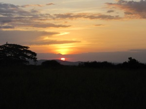 one of the many beautiful sunsets I saw in the mara
